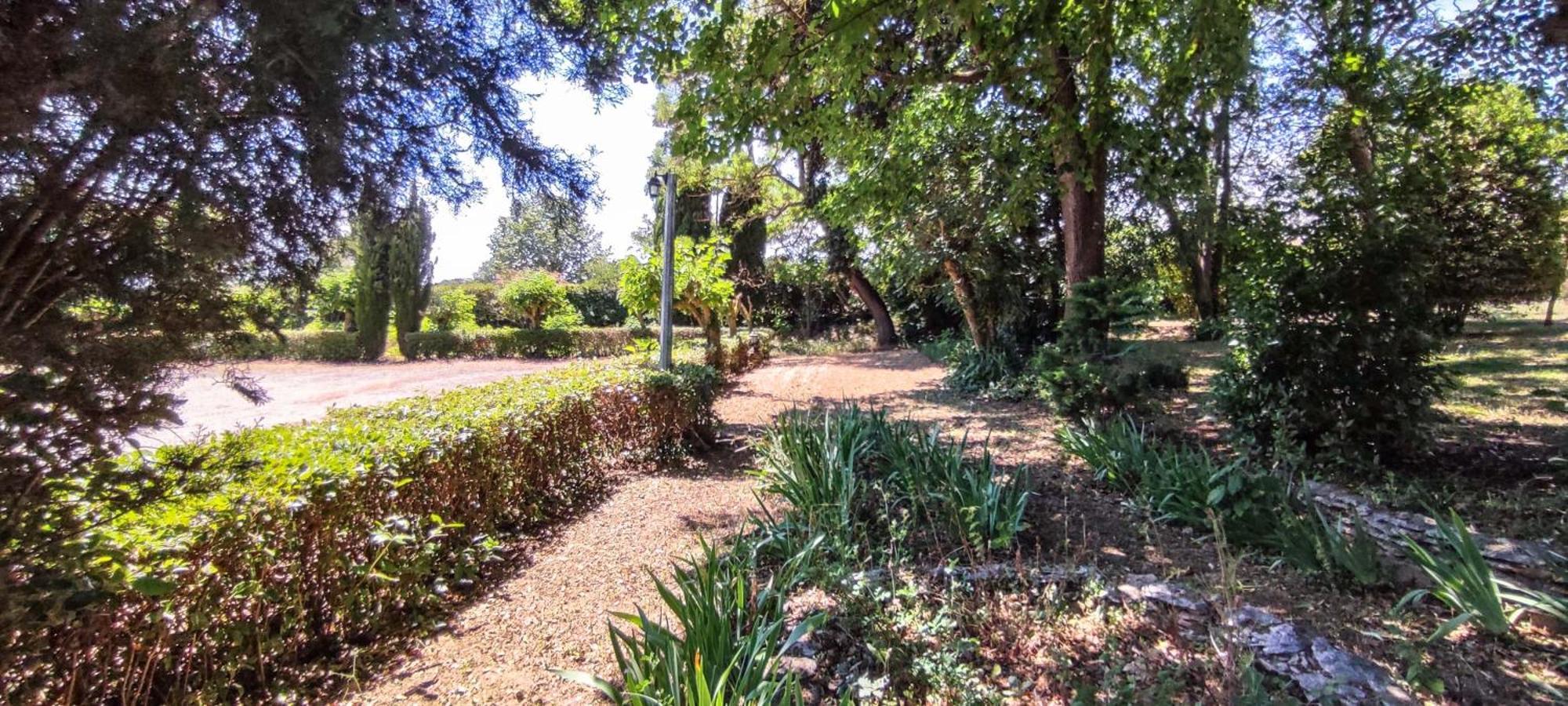 קרקסון Chateau Saint-Martin מראה חיצוני תמונה