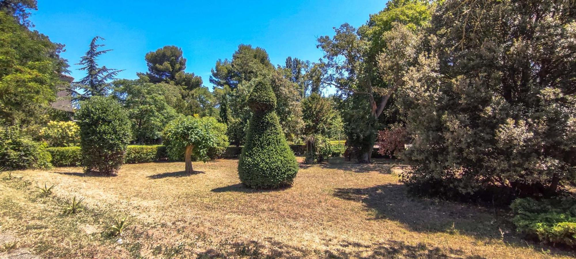 קרקסון Chateau Saint-Martin מראה חיצוני תמונה