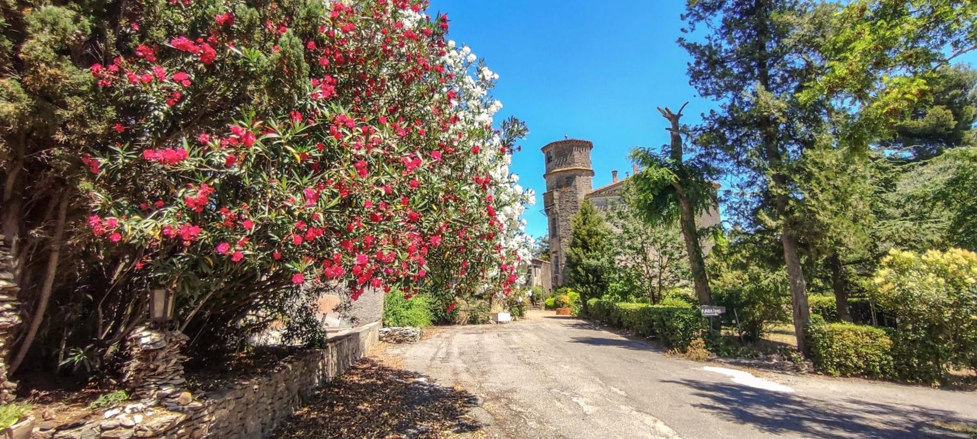 קרקסון Chateau Saint-Martin מראה חיצוני תמונה